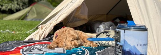 A Comprehensive Guide: Fall Activities for Hiking with Your Dog - Fire Maple