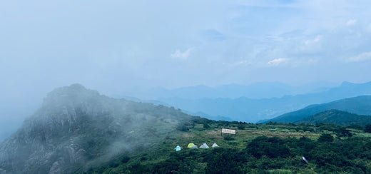 Exploring the Beauty of Qingliang Peak - Fire Maple