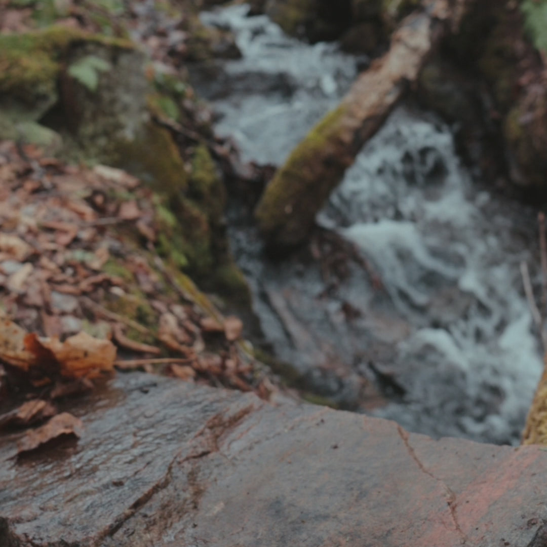 Load video: Star X1 Cooking System - Fire Maple#color_multi