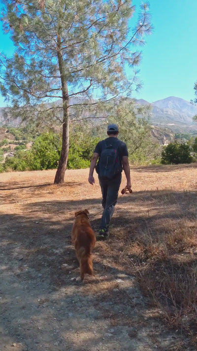 @chance_the_mini_golden