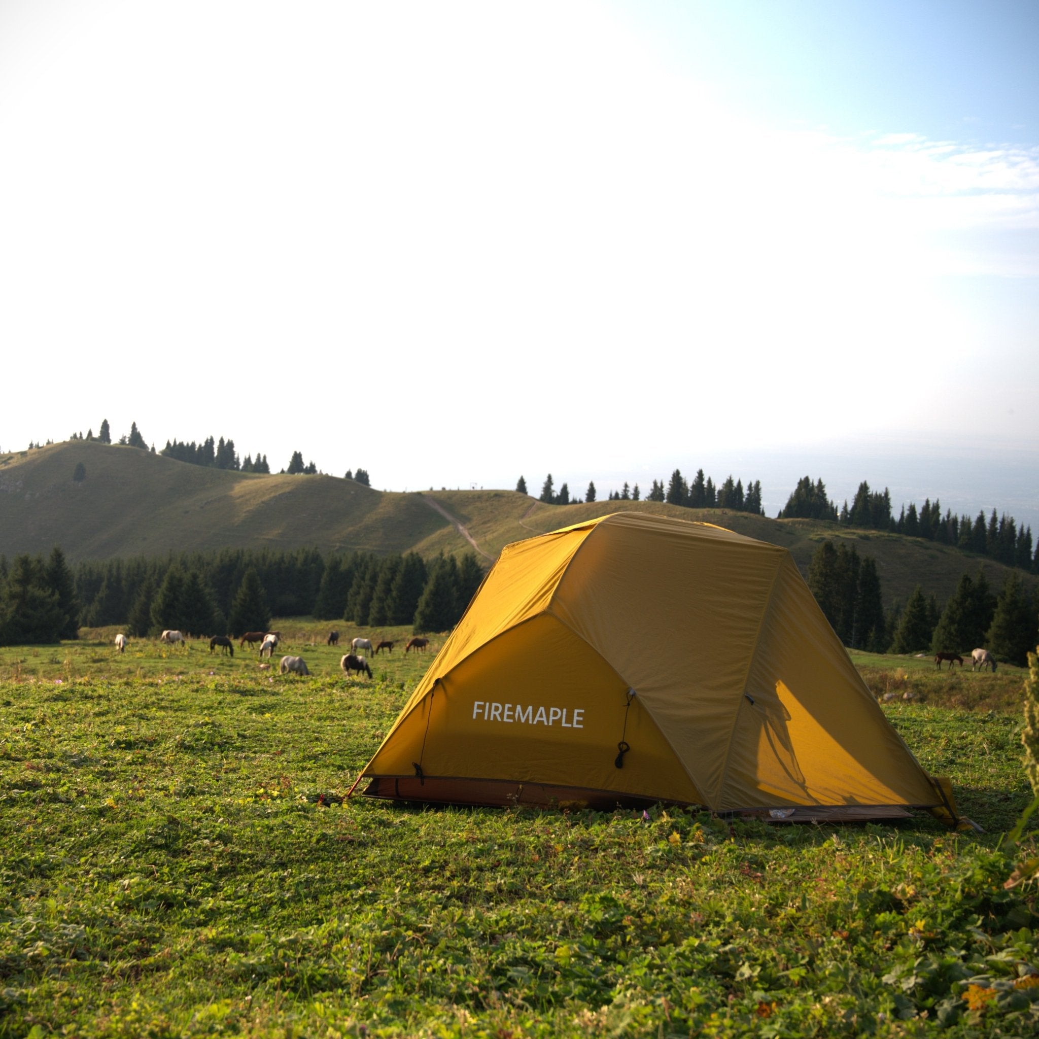 Tropics 2 - Person Backpacking Tent - Fire Maple