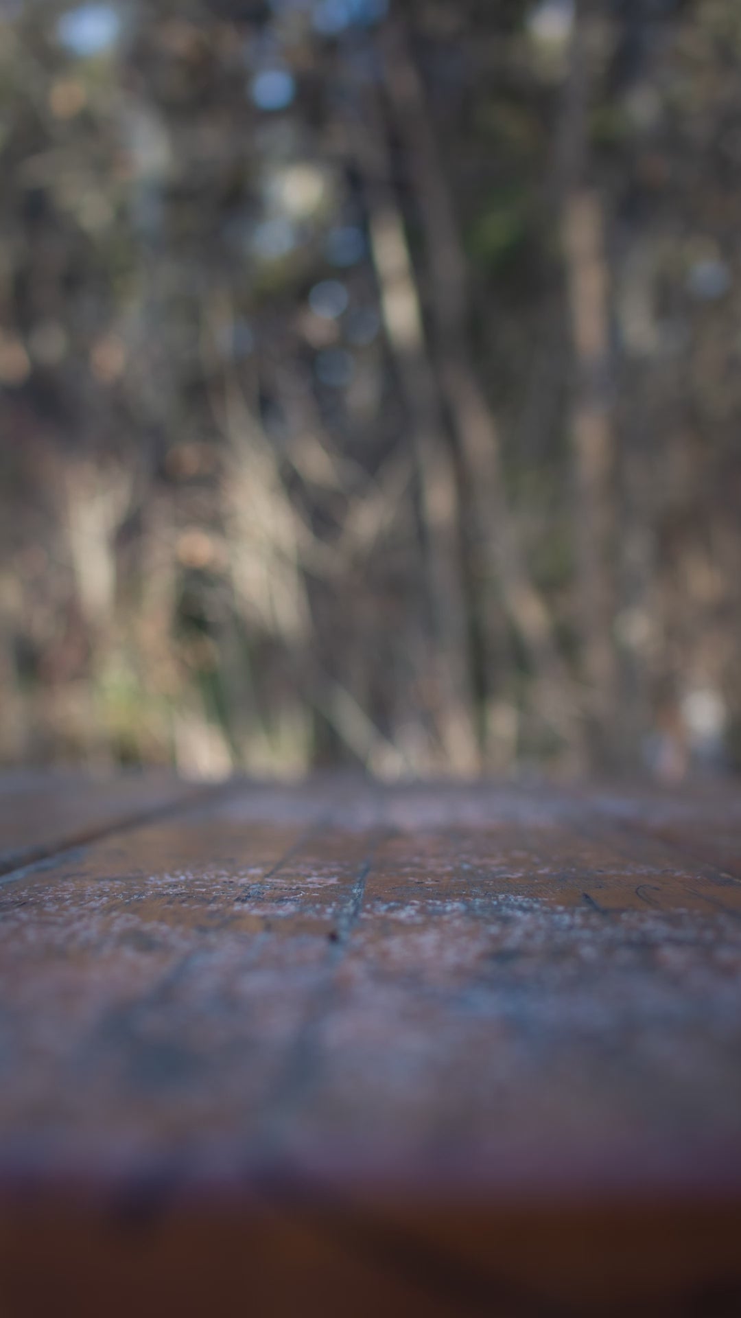 Load video: Alti Titanium Pot | 900ml