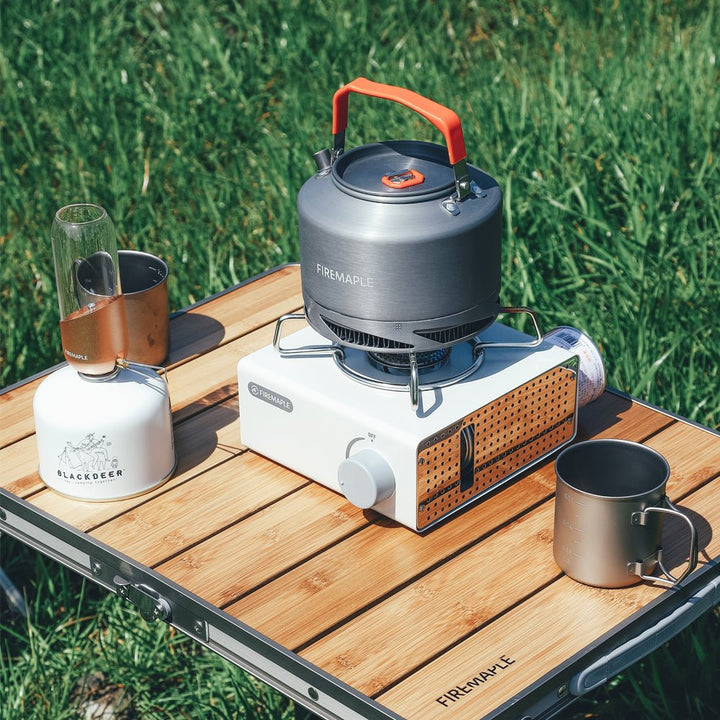 Best portable gas stove best sale